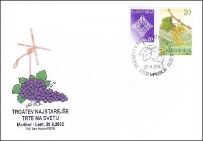 TRGATEV NAJSTAREJŠE TRTE NA SVETU